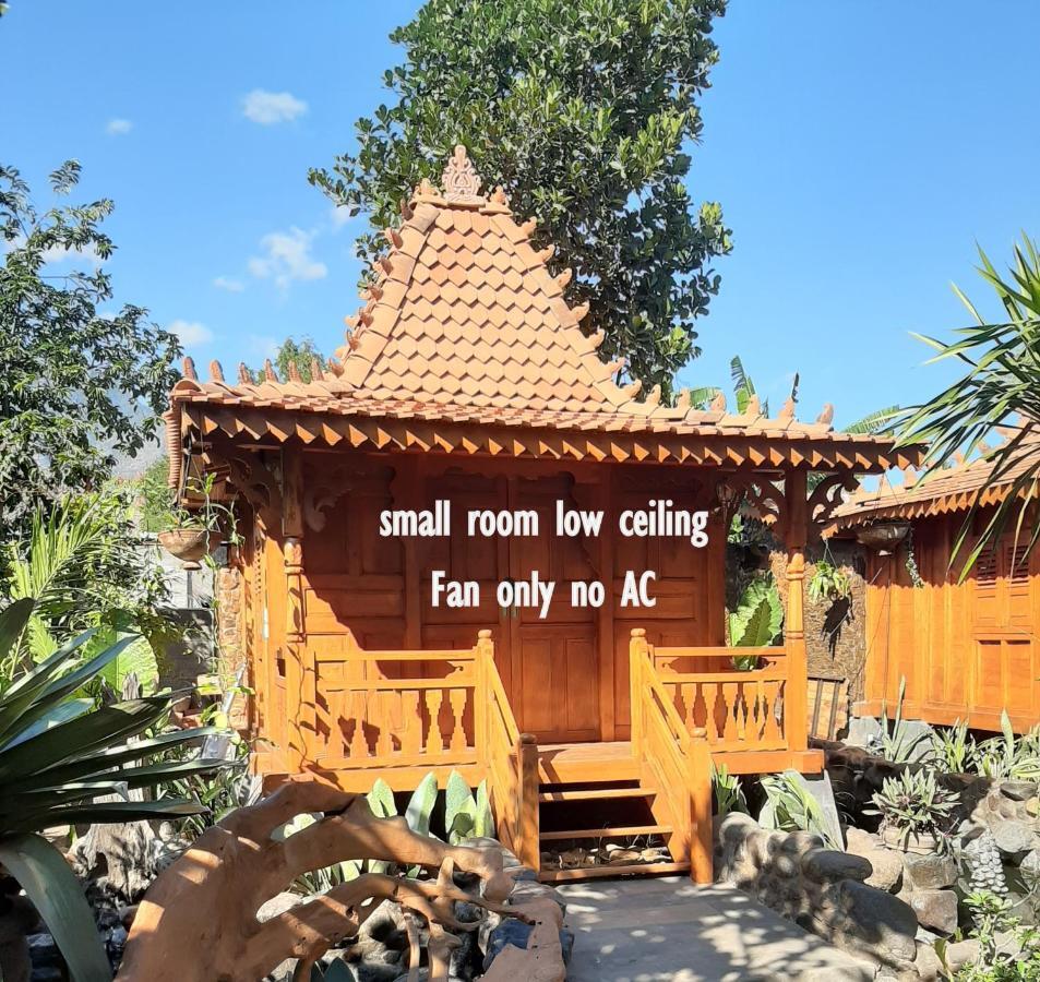 Hibiscus House Pemuteran Bali Hotel Bagian luar foto